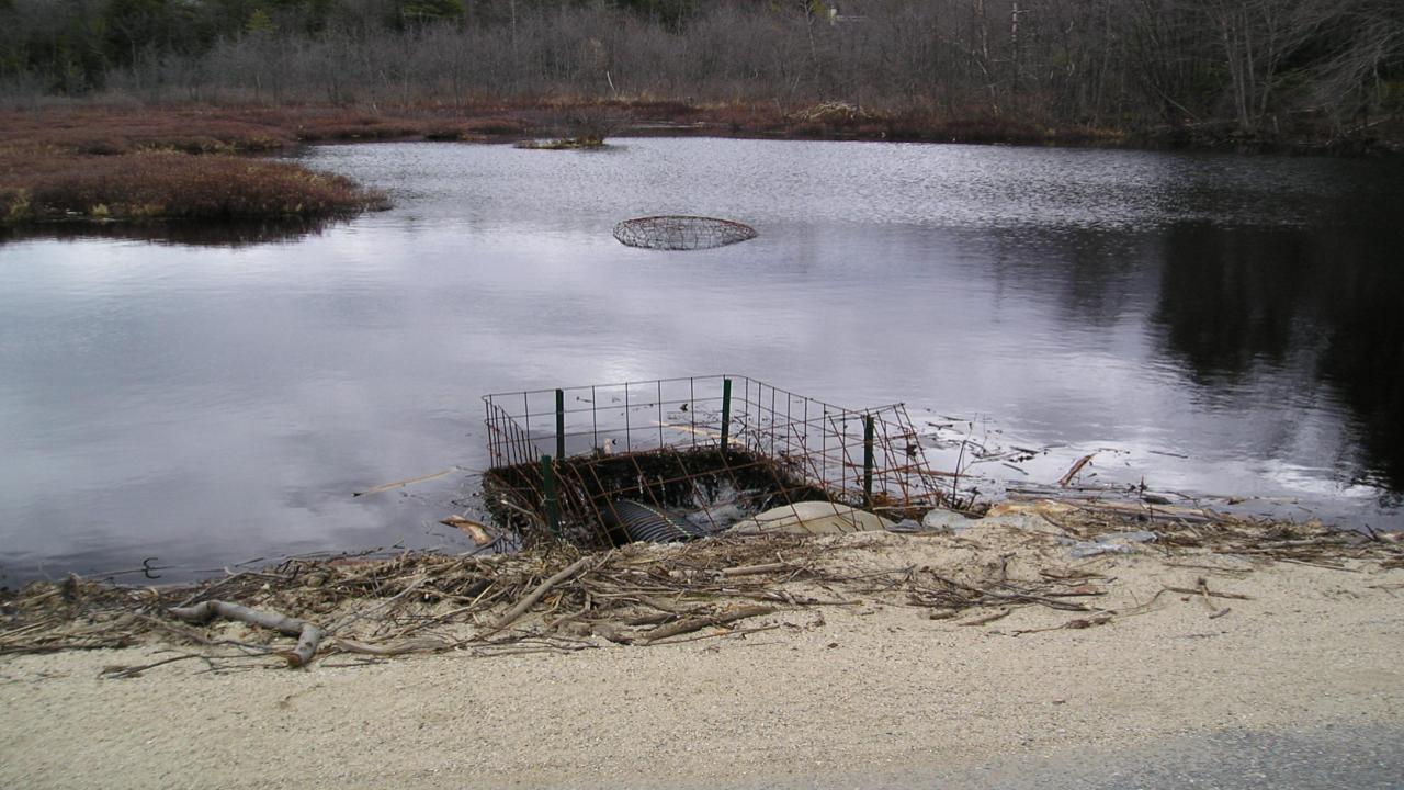Culvert fence and pipe installation